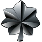 Lieutenant Colonel rank insignia